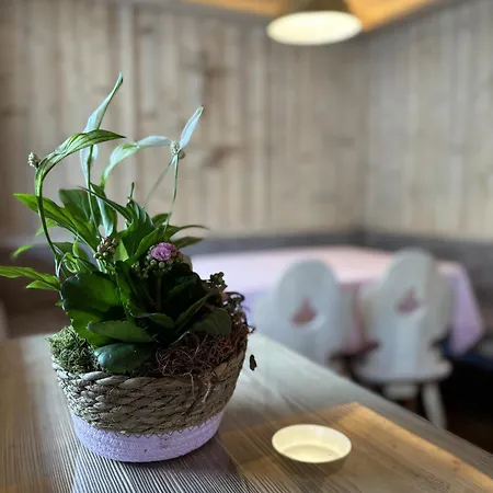 Apartment Rosa