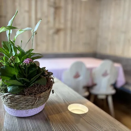 Rosa St. Johann in Tirol