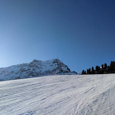 Rosa Sankt Johann in Tirol