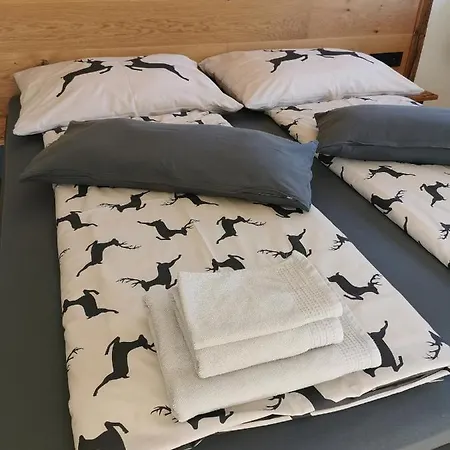Apartmán Rosa Sankt Johann in Tirol